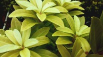 Photo 02