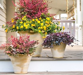 A Fall Face-Lift - 1.jpg