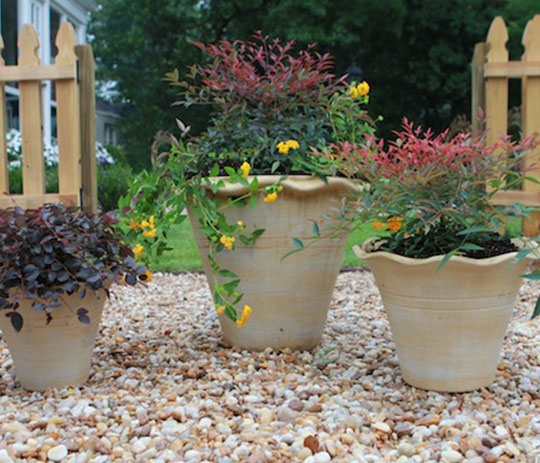 A Fall Face-Lift - 6.jpg