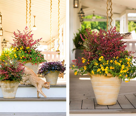 A Fall Face-Lift - 7.jpg