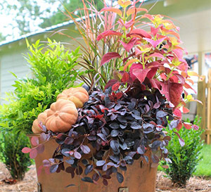 Fall Look 1 Fall Look 1 - Finished Project