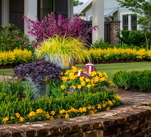 Gameday Garden