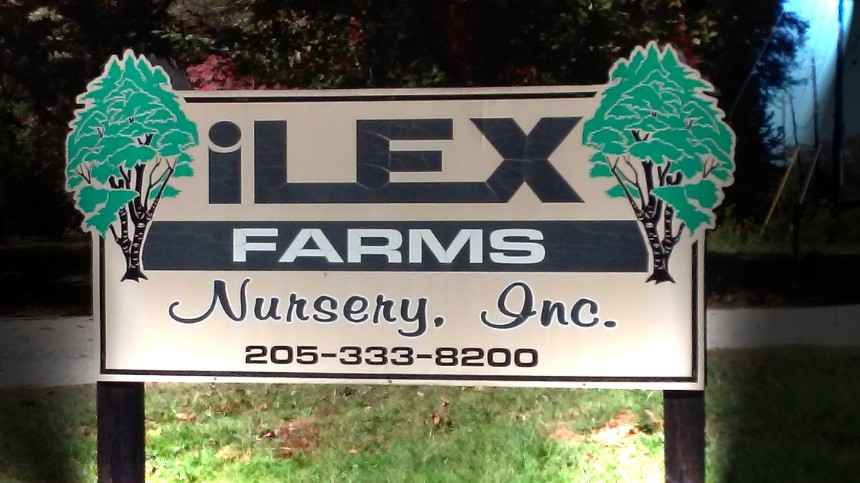 iLEX Sign-02 iLEX Sign